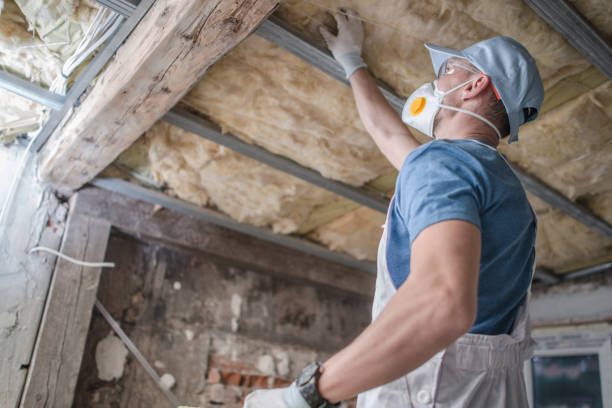 Best Fiberglass Insulation in Audubon Park, KY